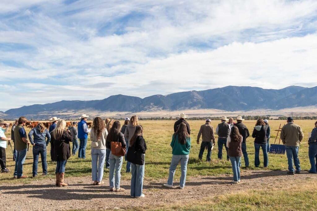 - Montana Stockgrowers Association