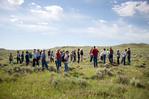 - Montana Stockgrowers Association