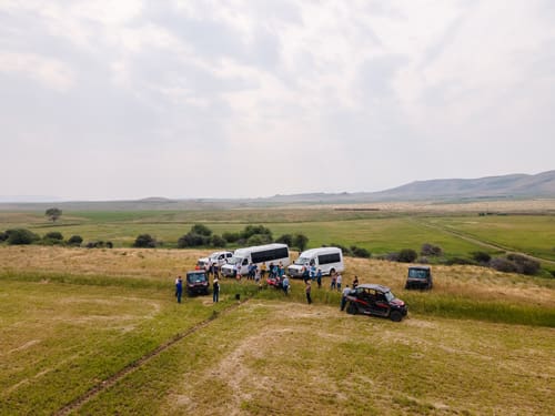 - Montana Stockgrowers Association
